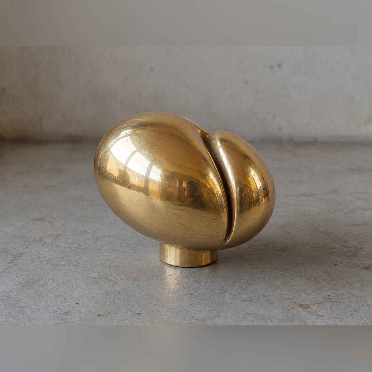 Split Seed Cabinet Knob